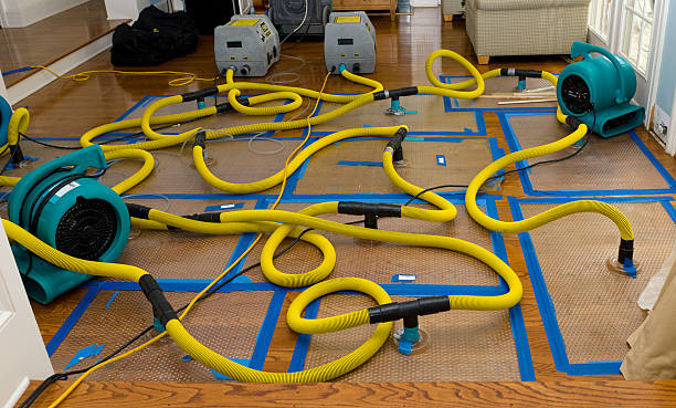 Professional Structural Drying And Dehumidification technician working in Richmond, MN